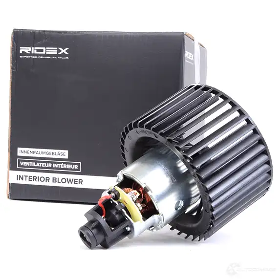 Моторчик печки, вентилятора RIDEX 1437701444 2669i0008 X1 TRL