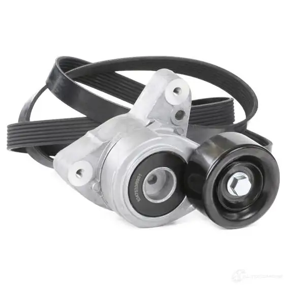 Приводной ремень в комплекте RIDEX SV BB9 1437745529 542r0239 изображение 2