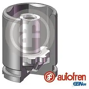 Поршень суппорта AUTOFREN SEINSA D025543K 1439059598 6ITK XP1