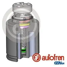 Поршень суппорта AUTOFREN SEINSA D025234RK 1439059601 5A8E 8 изображение 0