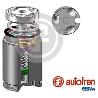 Поршень суппорта AUTOFREN SEINSA 0OLL TN 1439059604 D02545LK