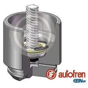 Поршень суппорта AUTOFREN SEINSA Y2 L8SK D025691LK 1439059613
