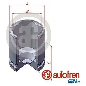 Поршень суппорта AUTOFREN SEINSA N 6CLST D025603 8430320212173 2662270