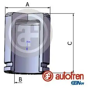 Поршень суппорта AUTOFREN SEINSA D025746 1424528235 06C3 J2 8430320251295 изображение 0