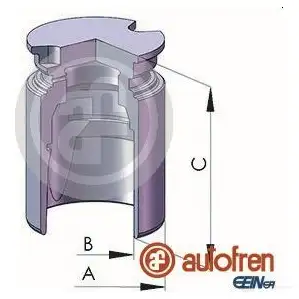 Поршень суппорта AUTOFREN SEINSA 2661931 D025222 EKBM OW 8430320107882 изображение 0