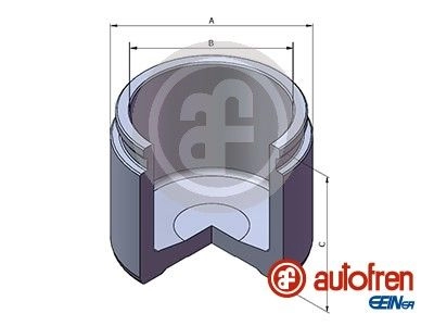 Поршень суппорта AUTOFREN SEINSA D025820 Q 5N1T 1440168294