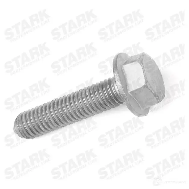 Болт и гайка STARK 1437826918 skbnk2550007 YKU PZ