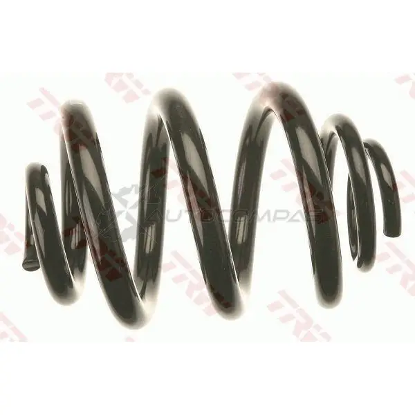 Пружина TRW 3322938102340 1532740 NWXN DS jcs1042 изображение 0