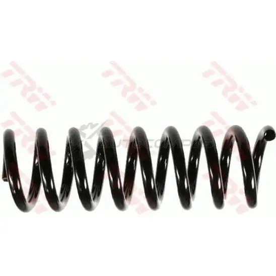 Пружина TRW XA WMGL jcs388 1533405 3322937979820 изображение 0