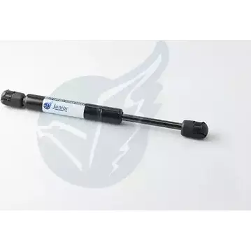 Амортизатор багажника, упор задней двери JUNIOR EJ XBA89 GS28735 1232865098 HVOFMG7 изображение 0