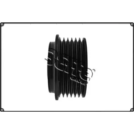 Шкив генератора 3EFFE GROUP 1SZPI F0050G LMACN K 1265880151