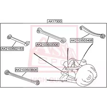 Рычаг подвески ASVA 6 9TFD22 1269698345 AK2103503806