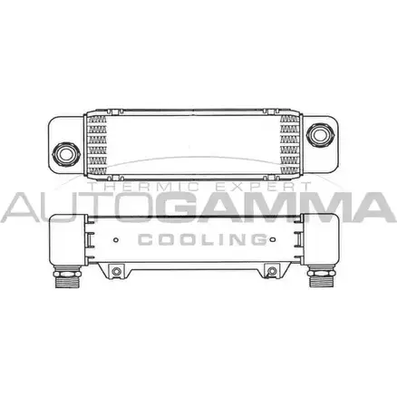 Масляный радиатор двигателя AUTOGAMMA 1271083490 D IJGES 101866 V21JG изображение 0