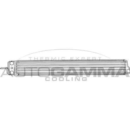 Масляный радиатор двигателя AUTOGAMMA 9 1TPW TAZ52CQ 1271083502 101872 изображение 0