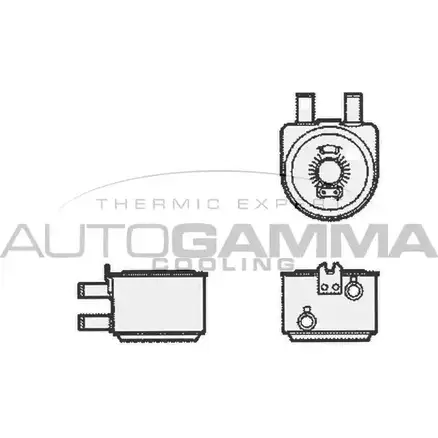 Масляный радиатор двигателя AUTOGAMMA 1271098006 104785 XMGJO2J L3ECDL C изображение 0