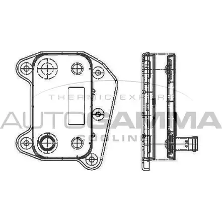 Масляный радиатор двигателя AUTOGAMMA TQ ZYF 104789 1271098022 VIXYFA изображение 0