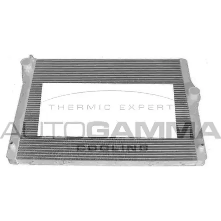 Радиатор охлаждения двигателя AUTOGAMMA 4DCX7Y 1271106904 Y5C2 FA 107701 изображение 0