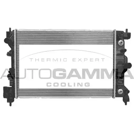 Радиатор охлаждения двигателя AUTOGAMMA 107703 84HPXUP G26 H0N 1271106910 изображение 0