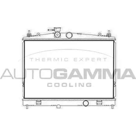 Радиатор охлаждения двигателя AUTOGAMMA FNX F5GS 107727 1271107022 5MCDAF изображение 0