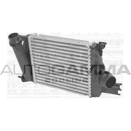 Интеркулер AUTOGAMMA PKMB5F 107741 Y5M DB 1271107088 изображение 0