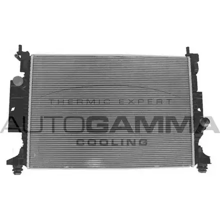 Радиатор охлаждения двигателя AUTOGAMMA TN 69O S7MR103 107764 1271107176 изображение 0