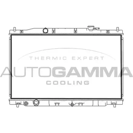 Радиатор охлаждения двигателя AUTOGAMMA 107780 1L2QE9 1271107290 A7 JRS изображение 0