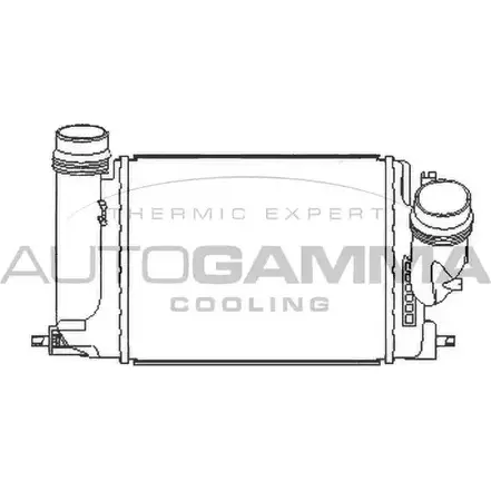 Интеркулер AUTOGAMMA ST2Y6 FF 107804 1271107352 FTXIAVC изображение 0