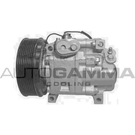 Компрессор кондиционера AUTOGAMMA 1271113350 118615 XHI W0AR 9WIS2V