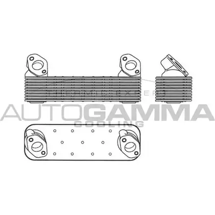 Масляный радиатор двигателя AUTOGAMMA 0FT00 O7RSD C 1271113948 303710 изображение 0