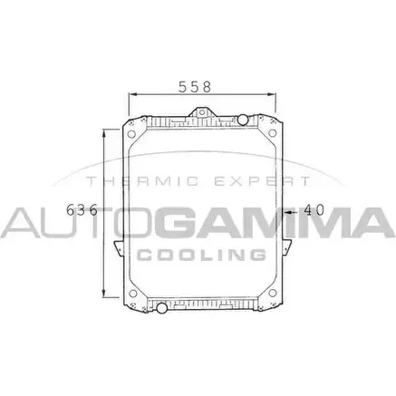 Радиатор охлаждения двигателя AUTOGAMMA K0 IF5V 0LZBWV 1271114498 400216 изображение 0