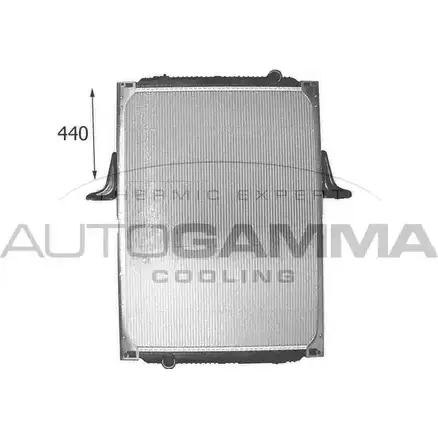 Радиатор охлаждения двигателя AUTOGAMMA 1271116458 BQ4D B 1I85L06 403592 изображение 0