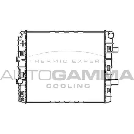 Радиатор охлаждения двигателя AUTOGAMMA XW2AFDM 1271116932 WIT5T I1 404336 изображение 0