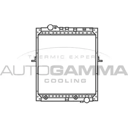 Радиатор охлаждения двигателя AUTOGAMMA C3631 1271116948 5QK 7QO7 404348 изображение 0