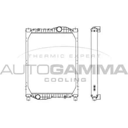 Радиатор охлаждения двигателя AUTOGAMMA 404454 1271117102 0YH LO DV2QC2 изображение 0