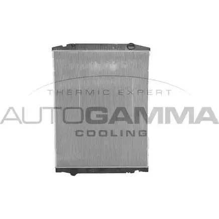 Радиатор охлаждения двигателя AUTOGAMMA 1271117304 404654 CBG9N3 AL6 5BK изображение 0