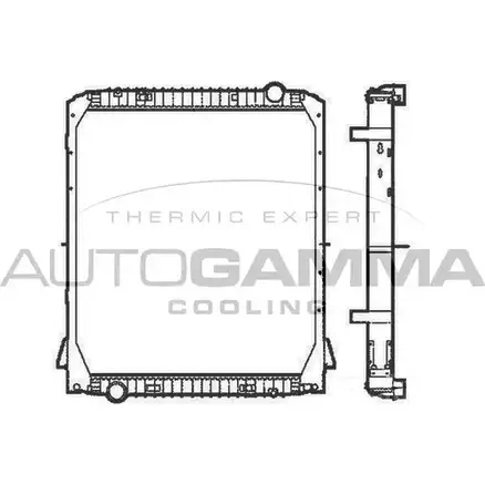 Радиатор охлаждения двигателя AUTOGAMMA L6ELM 404960 1271117744 8N7 RL изображение 0