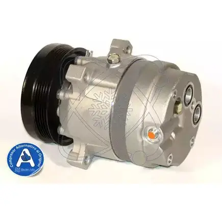 Компрессор кондиционера ELECTRO AUTO BED DY 1271514152 0PTE3 20B0079A