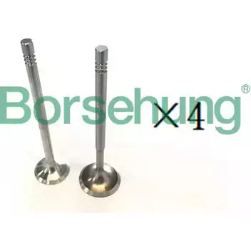 Регулятор давления BORSEHUNG 1272304326 G7 88CC 4251475106612 B18192 изображение 0