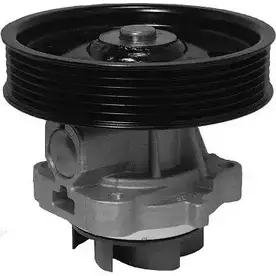 Водяной насос, помпа FI.BA M57NUYS WPF162 1274335589 MPS GSMU изображение 0
