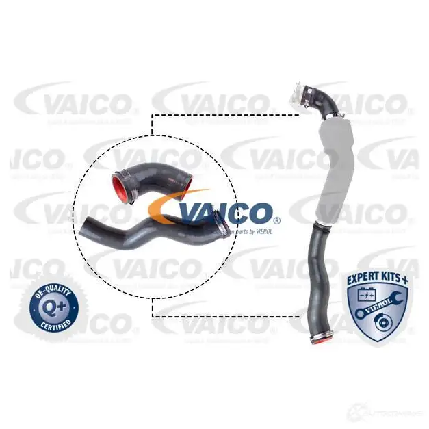 Патрубок интеркулера VAICO 4046001919435 V46-1031 1424769274 DT9 H5O изображение 0