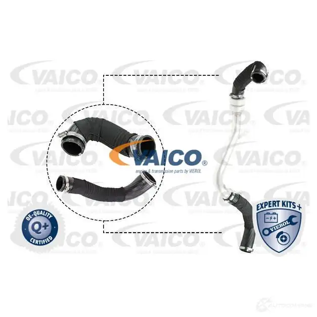 Патрубок интеркулера VAICO V25-1922 4046001918872 B73W 5C 1424769257