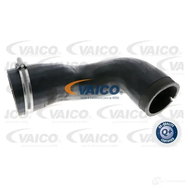 Патрубок интеркулера VAICO 037 8VV 4046001847097 1424769269 V40-1174