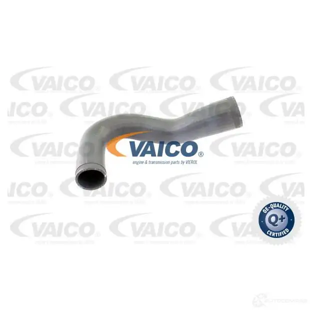 Патрубок интеркулера VAICO IEUI QE 4046001607516 V40-1365 1569935