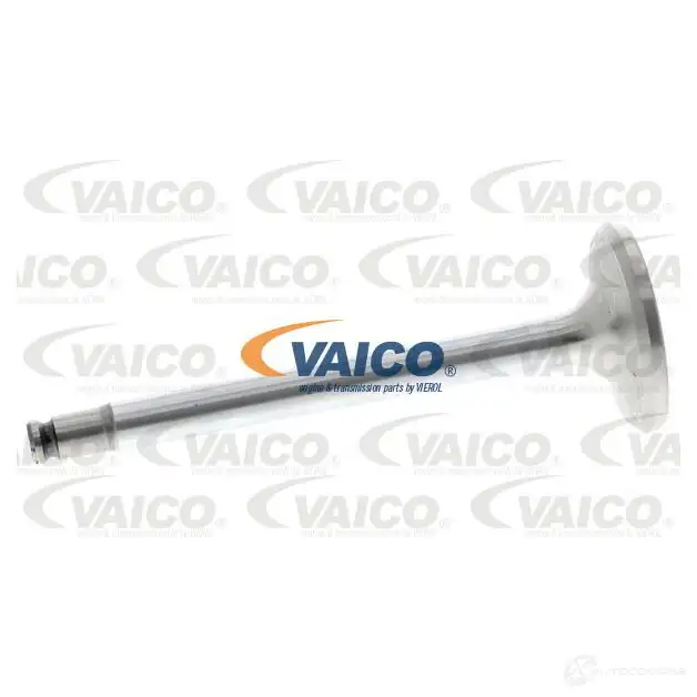 Выпускной клапан VAICO 1565617 4046001236822 v302031 L B846GK изображение 0