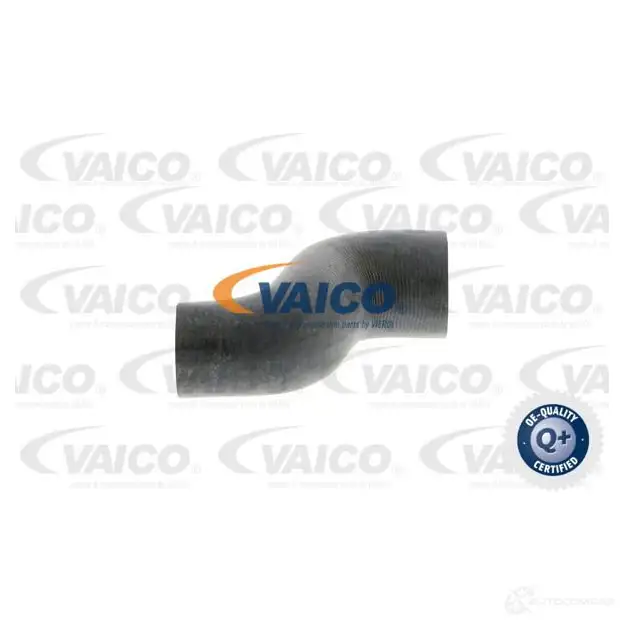 Шланг радиатора VAICO ILO WW 4046001324284 V40-0370 1569130 изображение 0