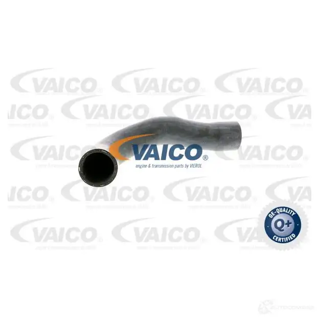 Шланг радиатора VAICO 1557856 V20-1241 4046001513176 AJ43U UL изображение 0