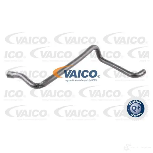 Шланг радиатора VAICO 3 V2PBW 4046001282676 V30-0721 1217340267