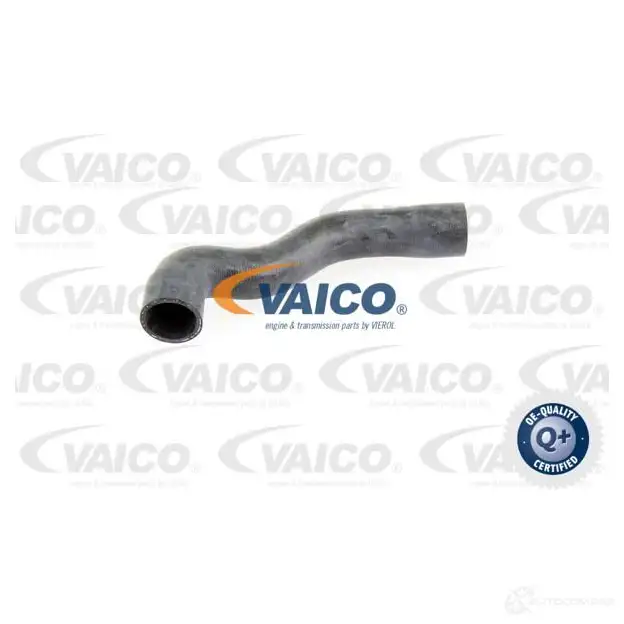 Шланг радиатора VAICO V20-1776 4046001606533 SBT 03 1558385 изображение 0