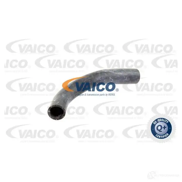Шланг радиатора VAICO 4046001142628 WZV EHU 1551024 V10-0054 изображение 0