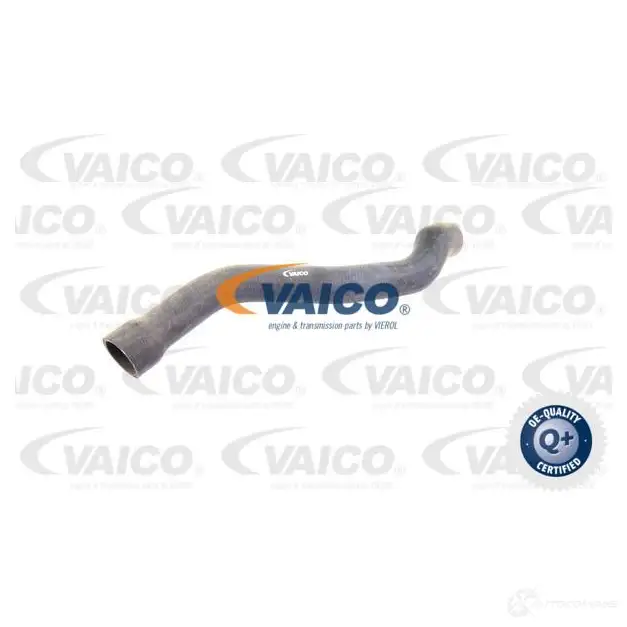 Шланг радиатора VAICO B3 3D5 1565768 4046001634192 V30-2221 изображение 0